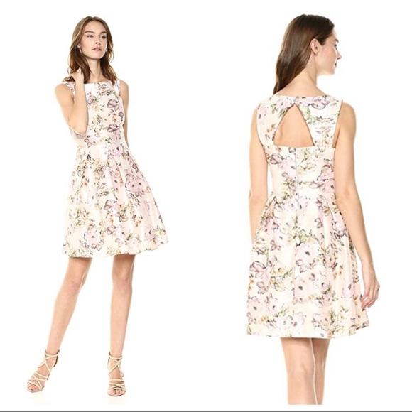 Gabby Skye Dresses & Skirts - Gabby Skye Blush Floral Watercolor Fit & Flare